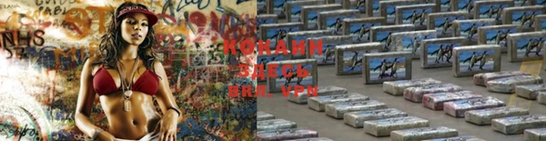 твердый Михайловка