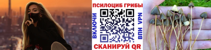 Галлюциногенные грибы ЛСД  где можно купить   Партизанск 